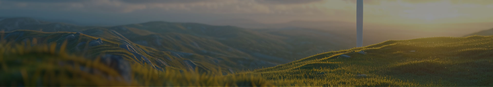 服务介绍