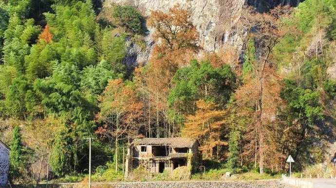15-4 仙居悦榕庄  人间仙境，淡竹旁居.jpg